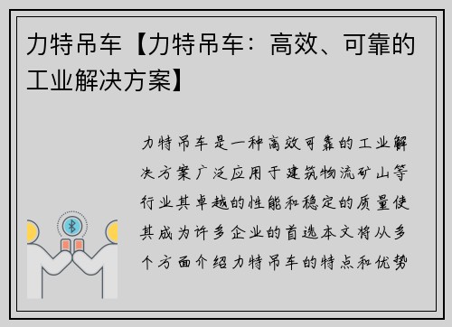 力特吊车【力特吊车：高效、可靠的工业解决方案】