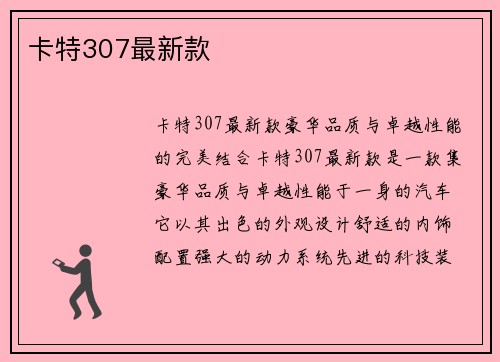 卡特307最新款